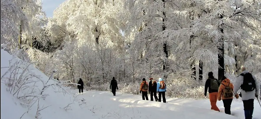 Neujahrsfasten - Fastenwandern im Januar