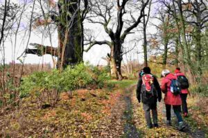 Gruppe Fastenwoche wandern 