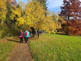 Fastenwandern Park Abnehmkurs nach dem Fasten 