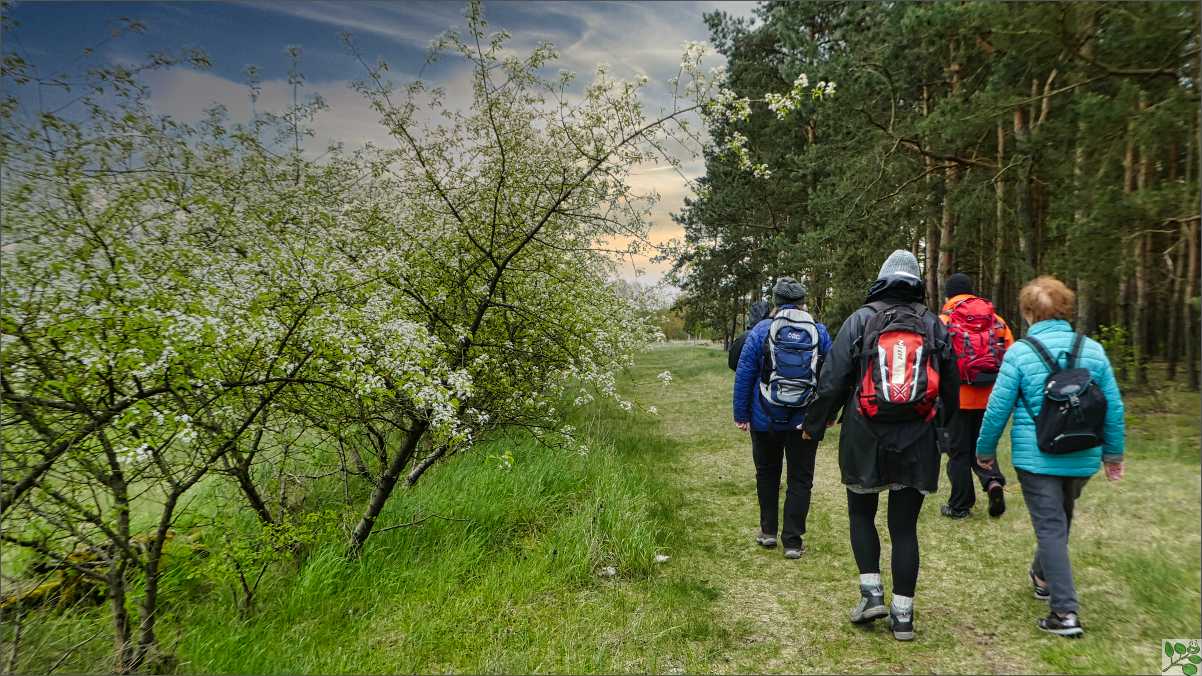Fastenwandern im Frühling