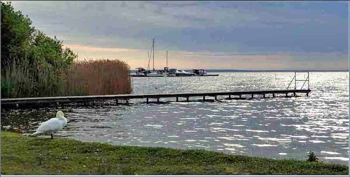 Fastenwandern an der Müritz