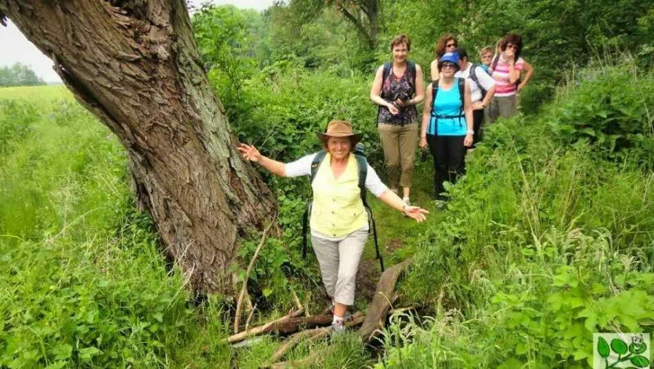 Fastenwandern mit Elke Fasten Fragen Antworten Fastenwandern mit Elke Fasten Fragen Antworten