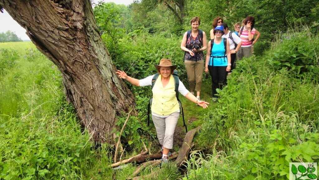 Fastenwandern -fasten wandern 2021