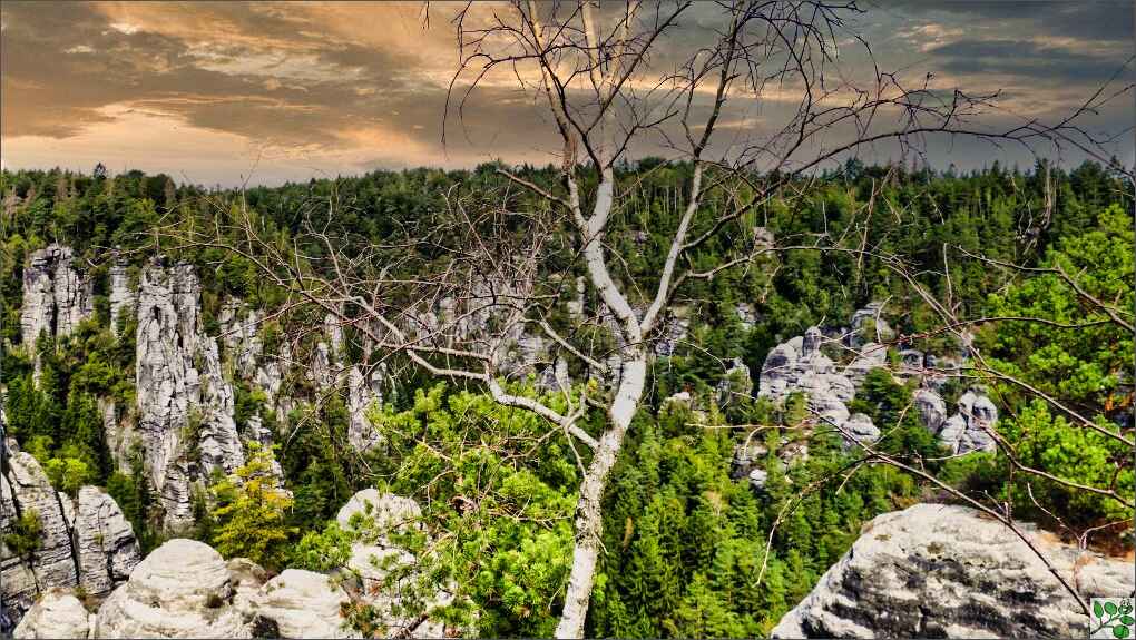 Natur Fastenwandern Termine